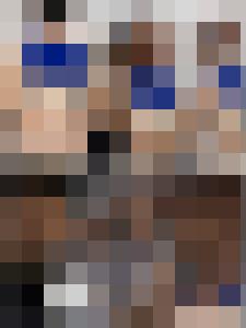 The War & Its Prisoners - The Harpy's Fate