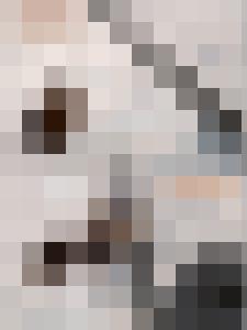 The War & Its Prisoners - The Harpy's Fate