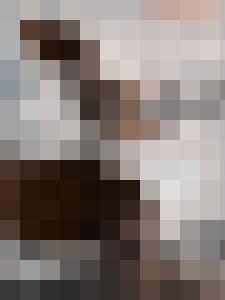 The War & Its Prisoners - The Harpy's Fate