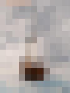 The War & Its Prisoners - The Harpy's Fate