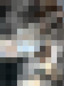 The War & Its Prisoners - The Harpy's Fate