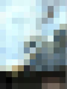 The War & Its Prisoners - The Harpy's Fate