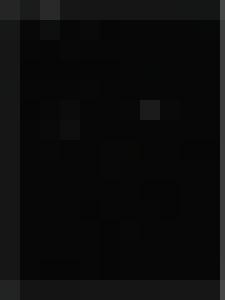 The War & Its Prisoners - The Harpy's Fate