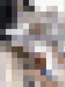 The War & Its Prisoners - The Harpy's Fate