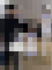 The War & Its Prisoners - The Harpy's Fate