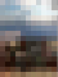 The War & Its Prisoners - The Harpy's Fate