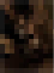 The War & Its Prisoners - The Harpy's Fate