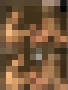 The War & Its Prisoners - The Harpy's Fate