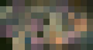 Facility25b:The Joana file