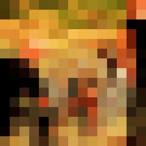 I am taking the wheel! Big Changes & New Project Premiere: "Violadores"