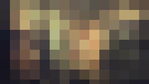 Colección en español / Spanish Language Collection