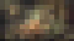 Colección en español / Spanish Language Collection