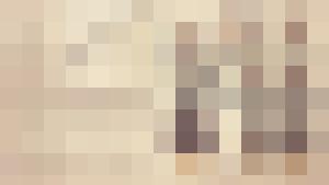 Colección en español / Spanish Language Collection