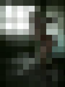 Amateur Photographer