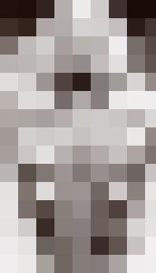 Bishop Vintage Master Art