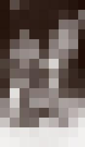 Bishop Vintage Master Art