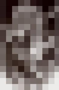 Bishop Vintage Master Art