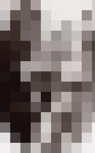 Bishop Vintage Master Art