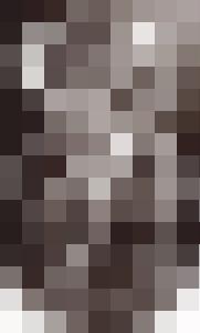 Bishop Vintage Master Art