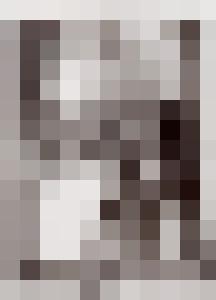 Bishop Vintage Master Art