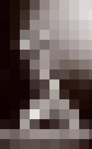 Bishop Vintage Master Art