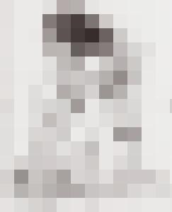 Bishop Vintage Master Art