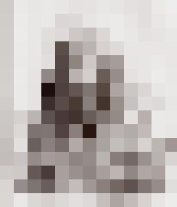 Bishop Vintage Master Art