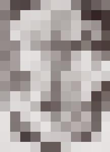 Bishop Vintage Master Art