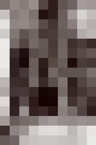 Bishop Vintage Master Art