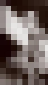 Bishop Vintage Master Art