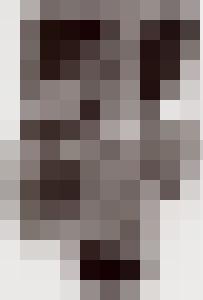 Bishop Vintage Master Art