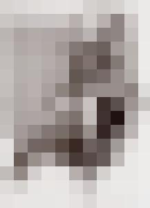 Bishop Vintage Master Art