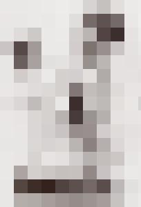 Bishop Vintage Master Art