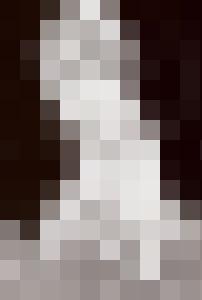 Bishop Vintage Master Art