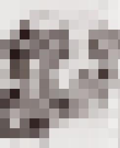 Bishop Vintage Master Art