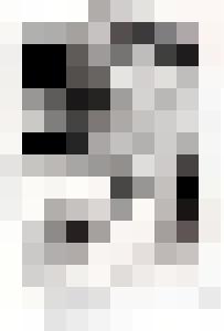 Bishop Vintage Master Art