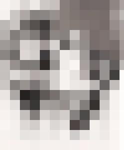 Bishop Vintage Master Art