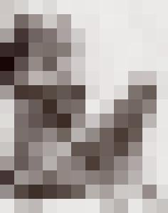 Bishop Vintage Master Art