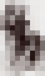 Bishop Vintage Master Art