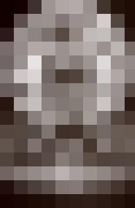 Bishop Vintage Master Art