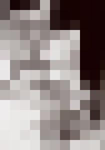 Bishop Vintage Master Art