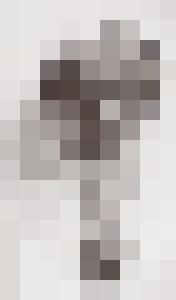 Bishop Vintage Master Art