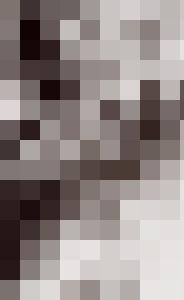 Bishop Vintage Master Art