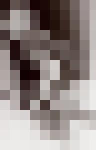 Bishop Vintage Master Art