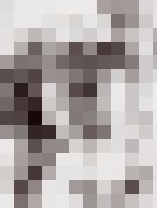 Bishop Vintage Master Art