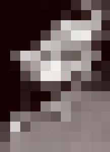 Bishop Vintage Master Art