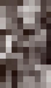 Bishop Vintage Master Art