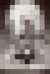 Bishop Vintage Master Art