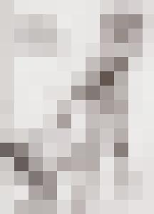 Bishop Vintage Master Art