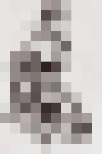 Bishop Vintage Master Art